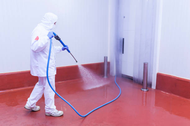 Professional Pressure Washing Services in Levelland, TX